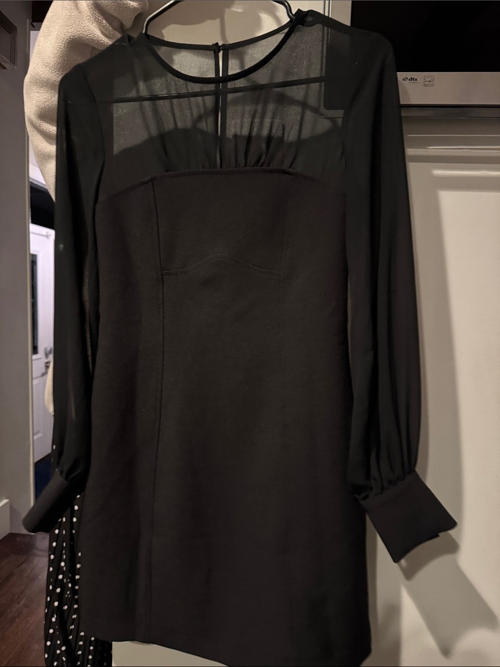 Anthropologie Black Sheer-Yoke Long Sleeve Mini Dress